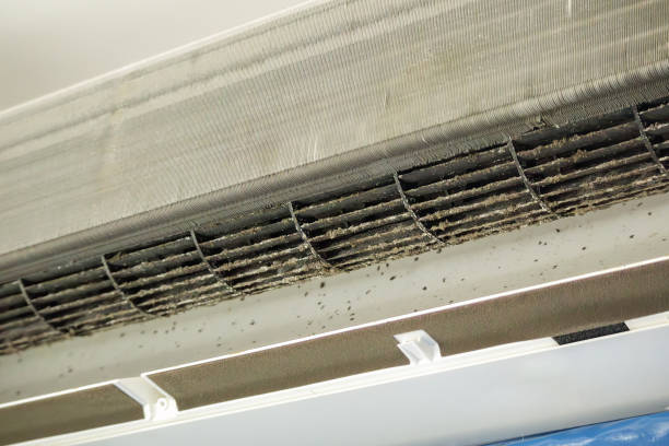 Best Ductwork Cleaning Services  in Long Beach, MD